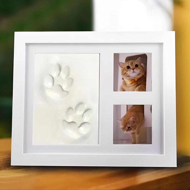 Pet Paw Print Kit  with Clay